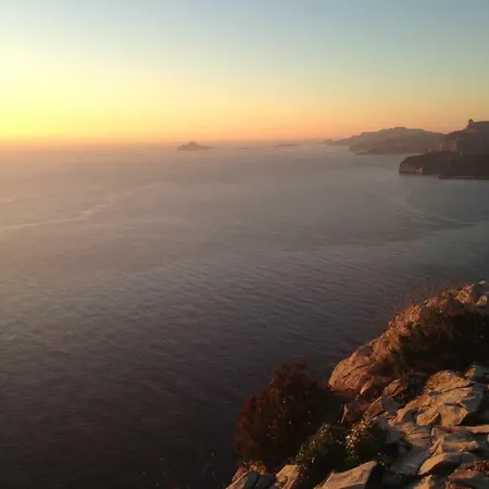 Happy * Cassis