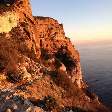Happy * Cassis