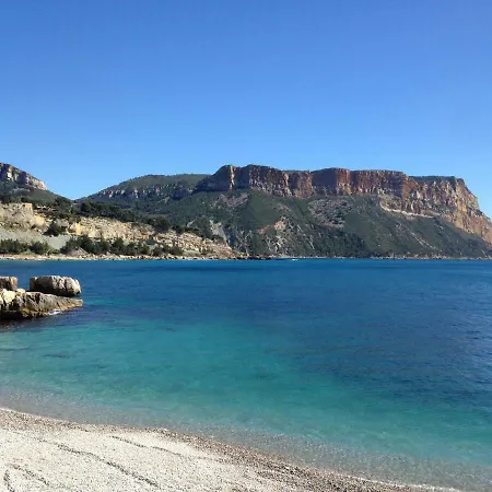 Happy * Cassis
